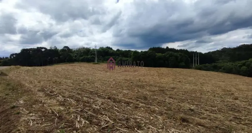Área de Terra em Farroupilha, Nova Sardenha - Confira!