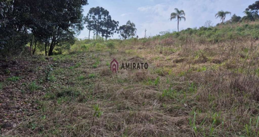 Oportunidade: Área de Terra em Nova Sardenha, Farroupilha