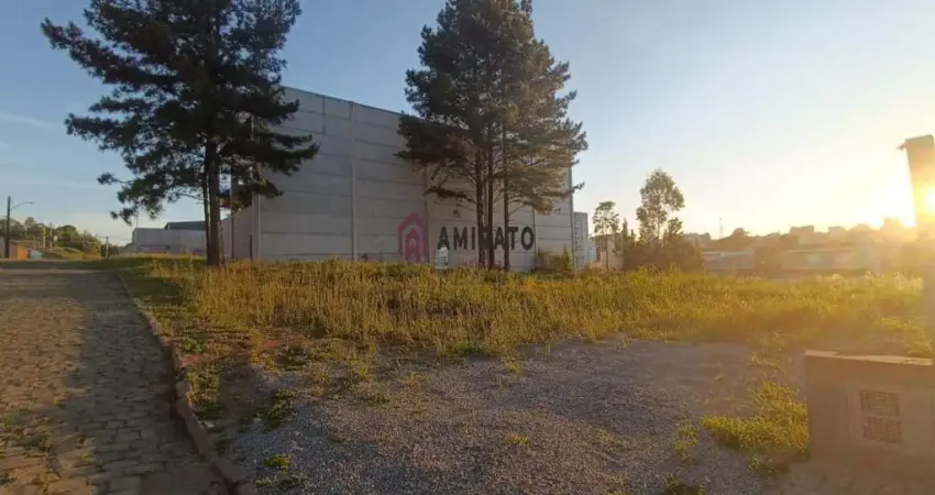 Terreno à venda no Medianeira, Farroupilha 