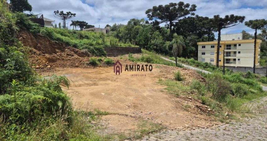 Terreno à venda em Farroupilha, São Luiz- Oportunidade única!