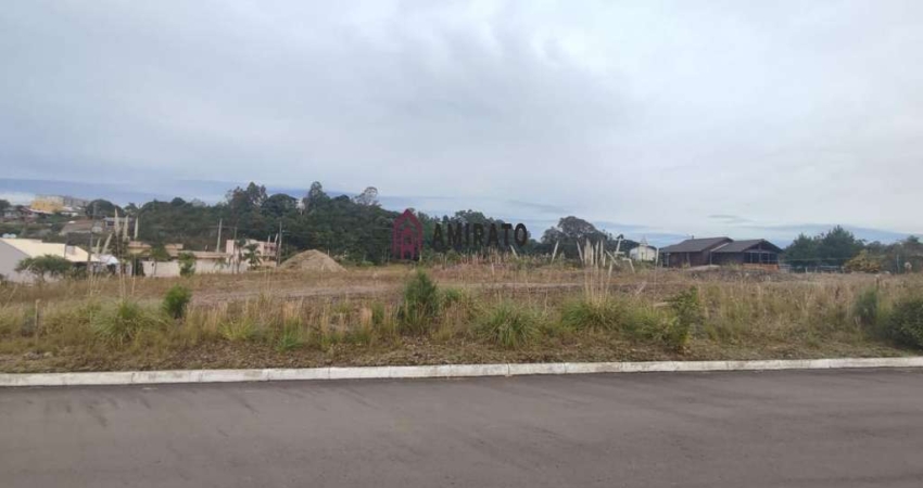 Terreno à venda no Belvedere, Farroupilha 