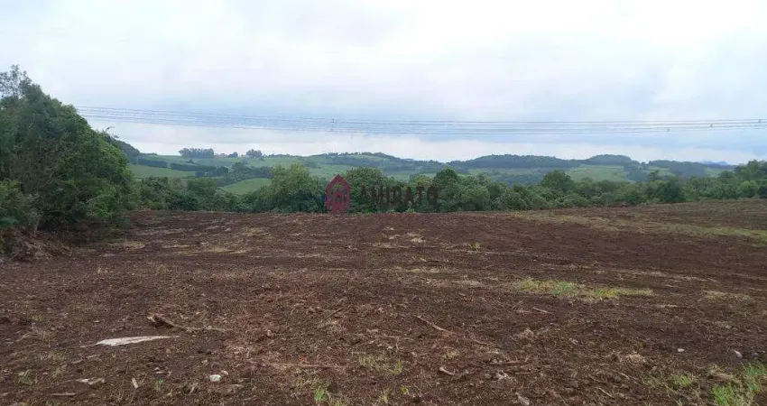 Terreno à venda na Rua Coronel Pena de Moraes, São Luiz, Farroupilha