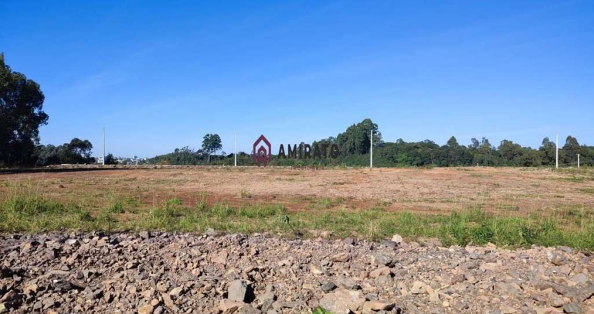 Oportunidade: Terreno para venda em Farroupilha, Belvedere