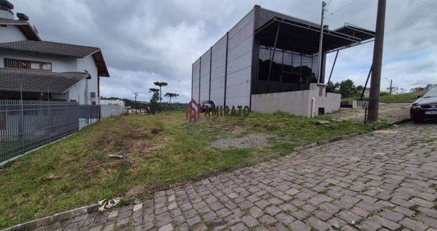 Oportunidade: Terreno no Bairro São Francisco, Farroupilha - Venda