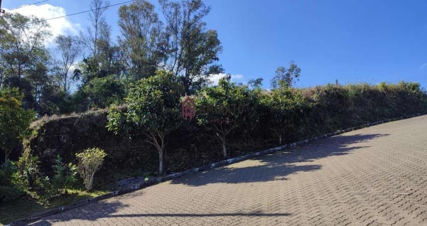 Terreno à venda em no bairro América em Farroupilha - Oportunidade única!
