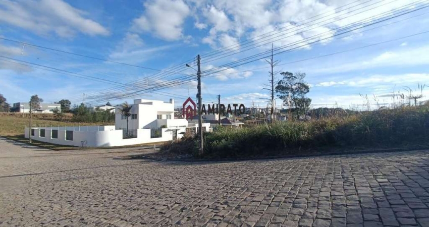 Terreno à Venda - Esquina - Bairro São Francisco - 382 m²