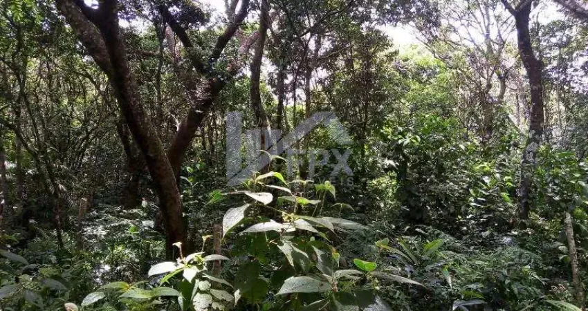 Terreno à venda em Balneário Marambaia, Itanhaém 