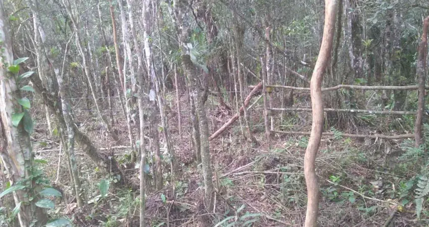 Terreno à venda no Balneário Gaivota, Itanhaém