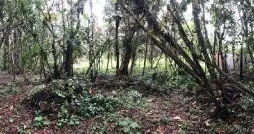 Terreno à venda no Balneário Gaivota, Itanhaém