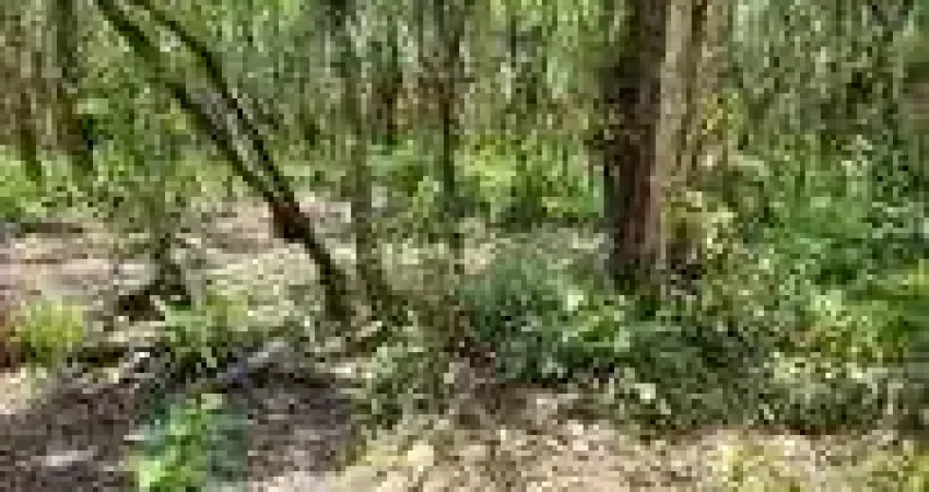 Chácara / sítio à venda no Balneário Gaivota, Itanhaém