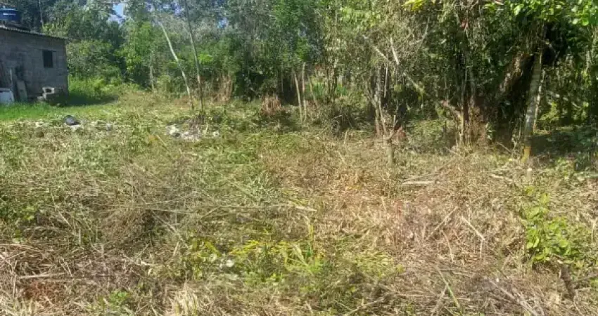 Terreno à venda na Avenida Flacides Ferreira, 796, Balneário Gaivota, Itanhaém