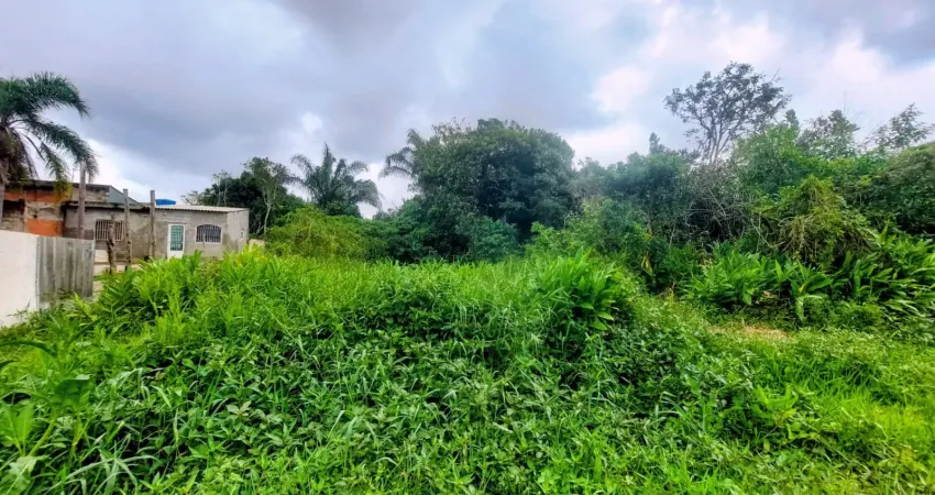 Terreno à venda na Avenida Flacides Ferreira, 796, Balneário Gaivota, Itanhaém