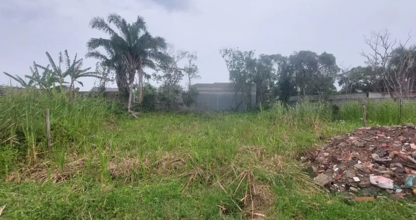 Terreno à venda na Avenida Flacides Ferreira, 796, Balneário Gaivota, Itanhaém