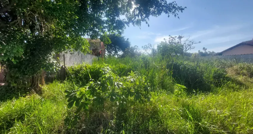 Terreno à venda na Avenida Flacides Ferreira, 796, Balneário Gaivota, Itanhaém