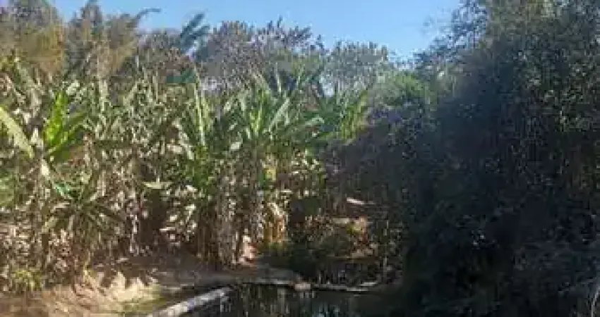 Chácara / sítio com 3 quartos à venda na José Gonçalves, 190, Novo Horizonte, Betim