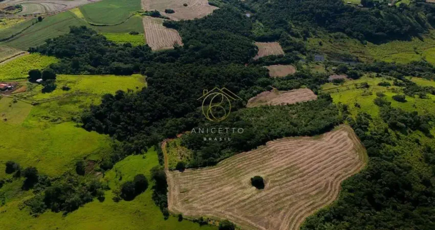Chácara / sítio com 3 quartos à venda na Km, 114 - Jataizinho, Pr, 86210-000, 1, Zona Rural, Jataizinho