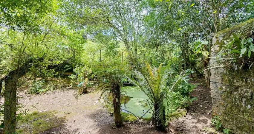 Chácara / sítio com 4 quartos à venda na Maria de Lima Almeida, 10, Santo Antônio, São José dos Pinhais