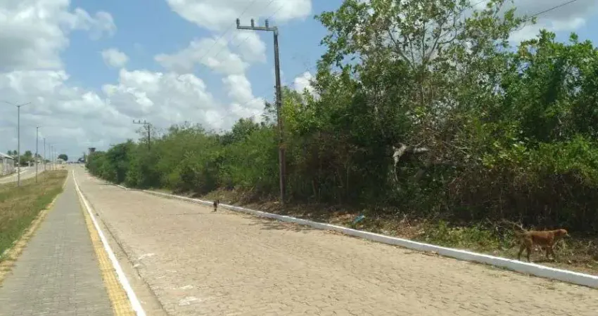 Terreno à venda, 182800 m² por R$ 800.000,00 - Centro - Poço Branco/RN