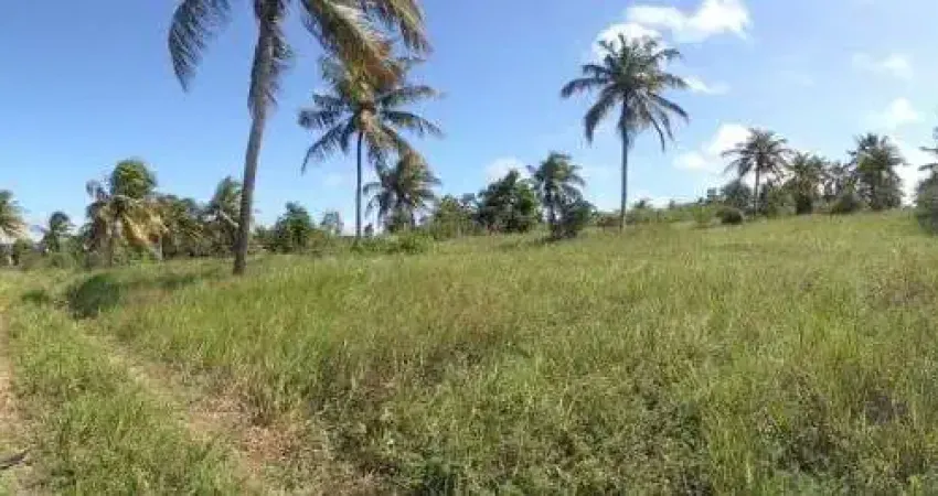 Fazenda à venda, 1170000 m² por r$ 1.250.000,00 - praia de muriu - ceará-mirim/rn