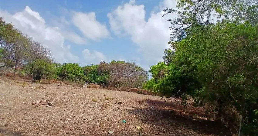 Terreno à venda, 868 m² por R$ 390.000,00 - Cotovelo (Distrito Litoral) - Parnamirim/RN