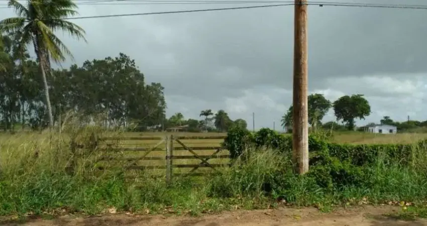 Fazenda à venda, 345000 m² por R$ 1.200.000,00 - Centro - Monte Alegre/RN