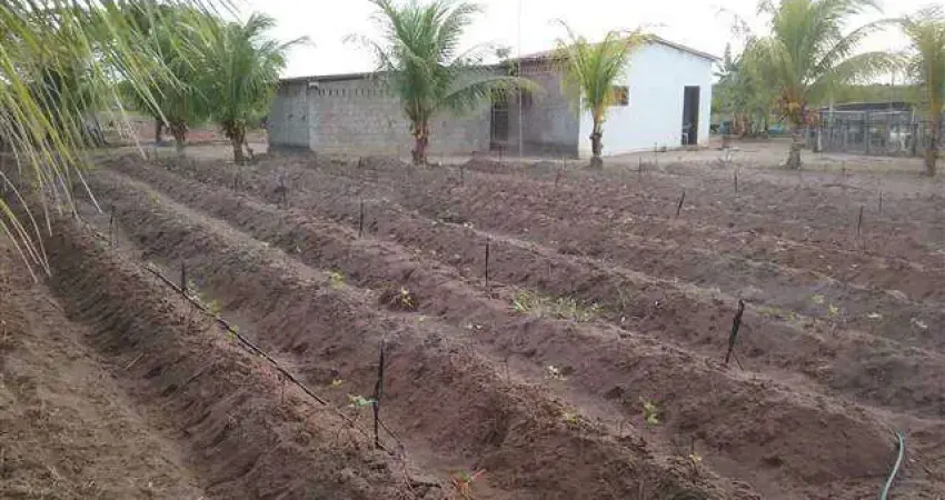 Sítio à venda, 100000 m² por R$ 300.000,00 - Ceará-mirim - Ceará-Mirim/RN
