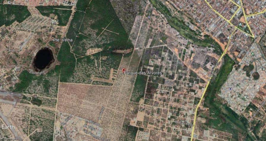 Terreno à venda, 1000 m² por R$ 110.000,00 - Parque Das Árvores - Parnamirim/RN