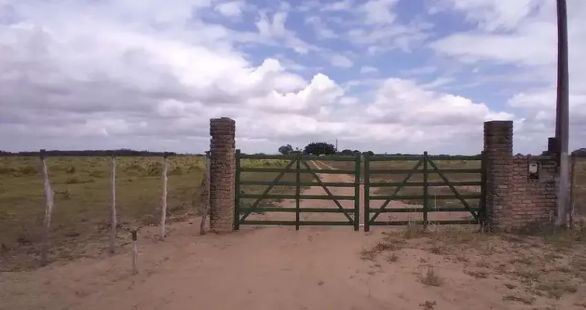 Fazenda à venda, 52 hectares por r$ 2.500.000 - reta tabajara - macaíba/rn