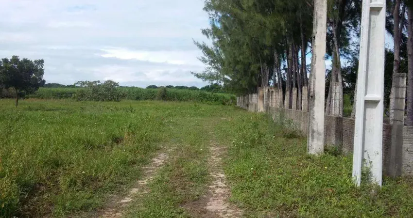 Terreno à venda, 6000 m² por r$ 280.000,00 - lagoa do bonfim - nísia floresta/rn