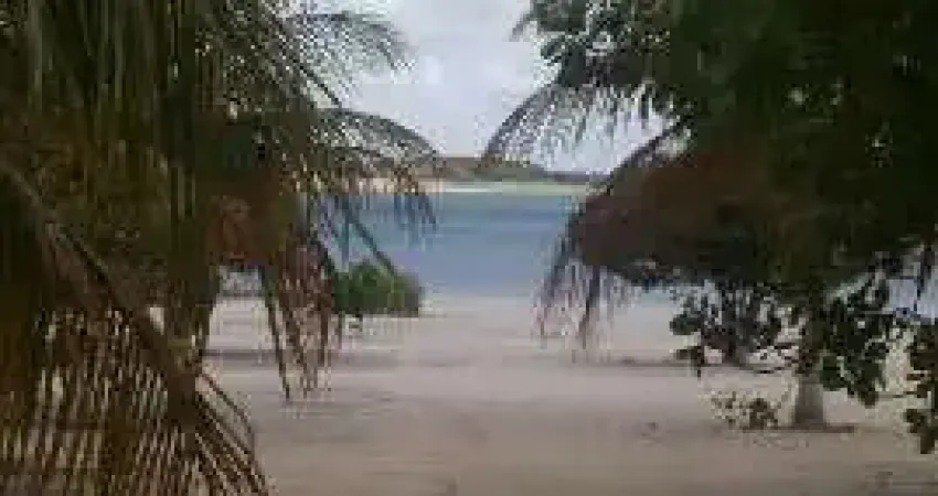 Chácara com 4 dormitórios à venda, 12000 m² por r$ 1.200.000,00 - lagoa do bonfim - nísia floresta/rn