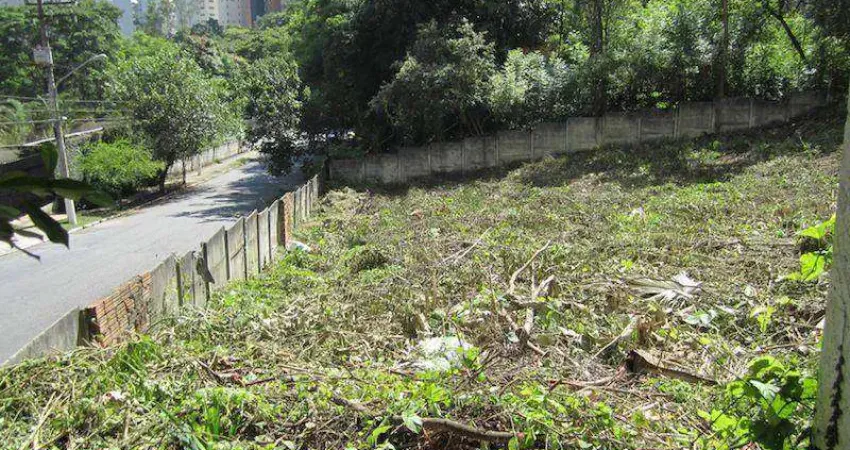 Terreno à venda, 2442 m² por R$ 24.420.000,00 - Vila Suzana - São Paulo/SP