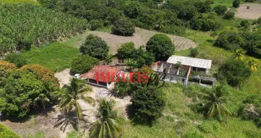 Chácara no conde com 4.35 hectares, com sistema de irrigação