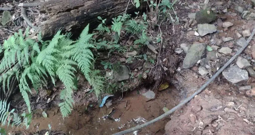 Fazenda à venda na Rod Castelo Branco km 68, 78, Dona Catarina, Mairinque
