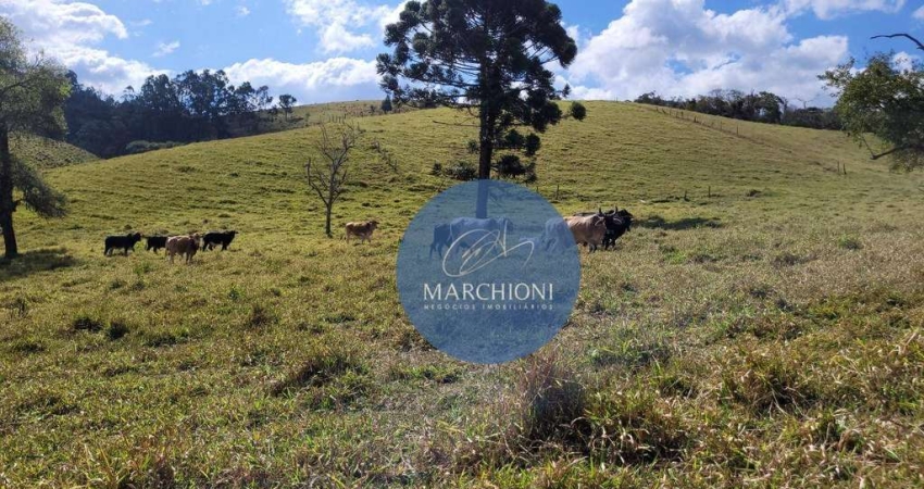Chácara / sítio com 5 quartos à venda na -22.787884, -46.577510, 10010, Zona Rural, Pinhalzinho