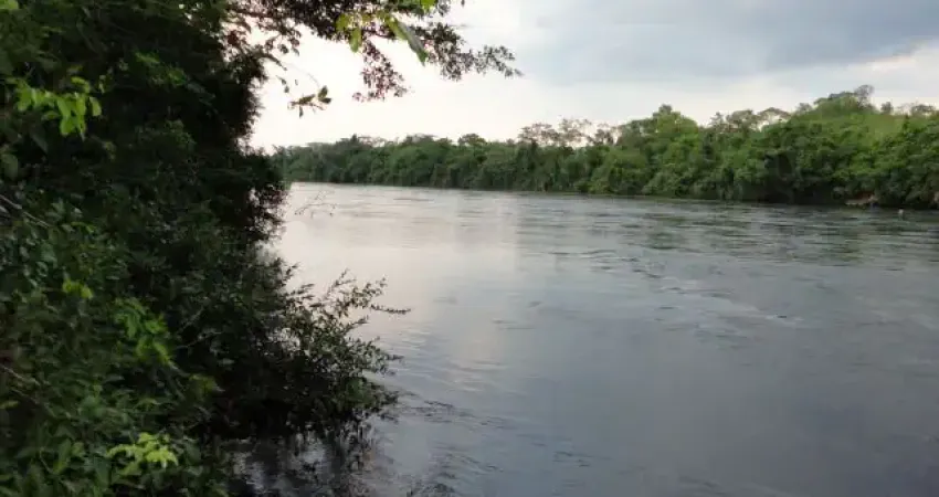 Fazenda 1.232 ha beira do Rio Manso