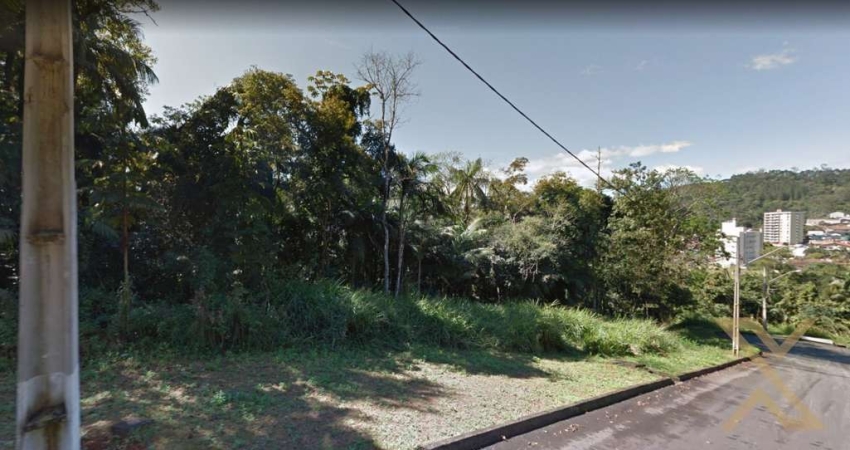 Terreno comercial à venda no Velha, Blumenau 