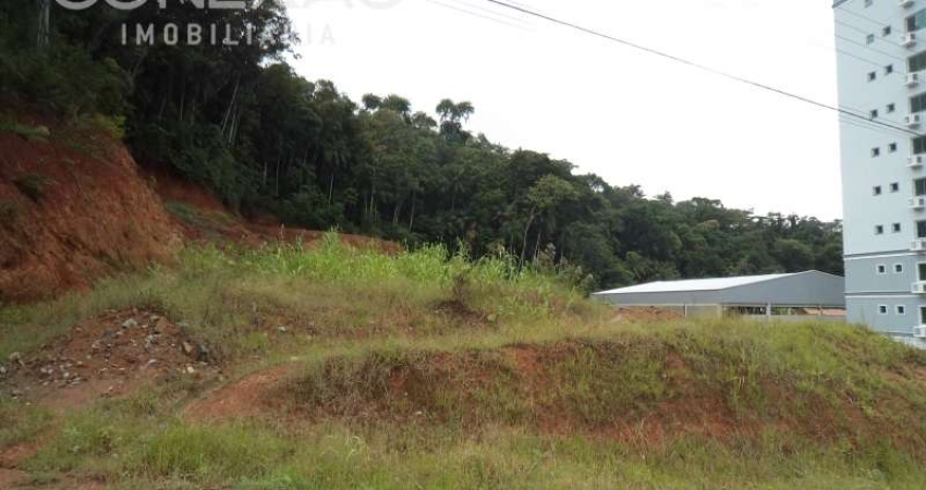 Terreno comercial à venda no Salto do Norte, Blumenau 