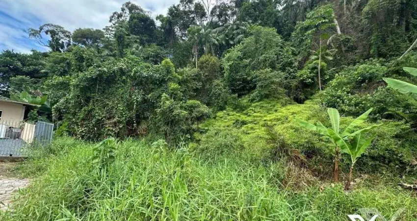 Terreno à venda, 22178 m² por R$ 950.000,00 - Fortaleza - Blumenau/SC