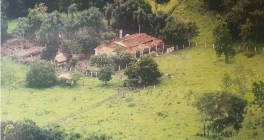 Chácara / sítio com 4 quartos à venda na Rua Jaraguá, 4, Vila Nova Jayara, Anápolis