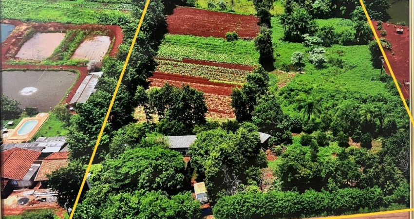 Chácara / sítio à venda na Área Rural, Área Rural de Londrina, Londrina