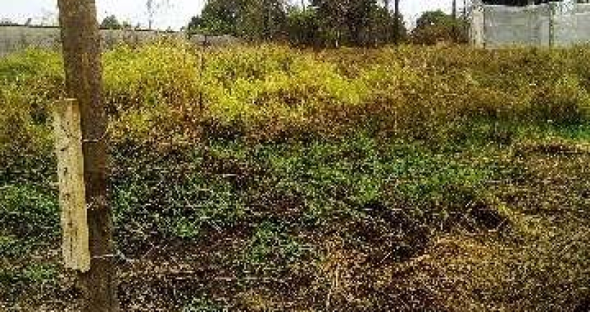 Terreno à venda na Rua dos Ipês, s/n, Jardim Arquidiocesano, Salto