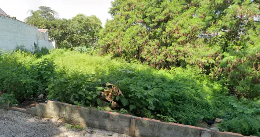 Terreno amplo no jardim simus! 317m² para construir o seu projeto dos sonhos.