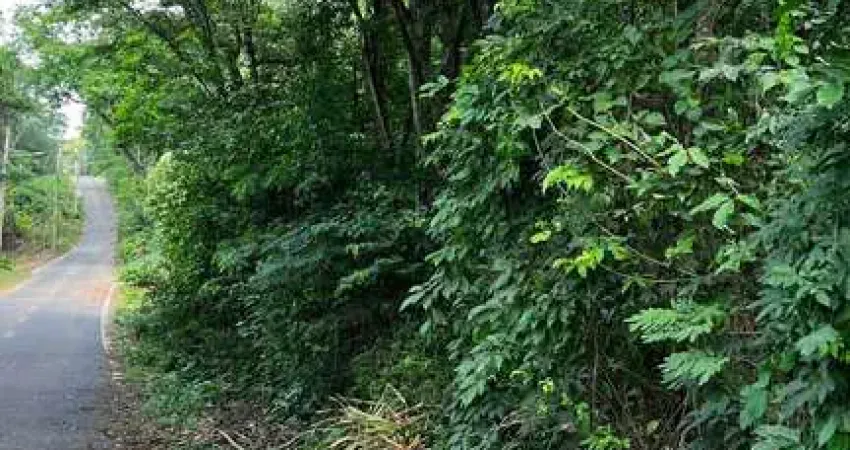 Chácara / sítio com 2 quartos à venda na Rodovia GO 020, 983, Estância Vargem Bonita, Senador Canedo