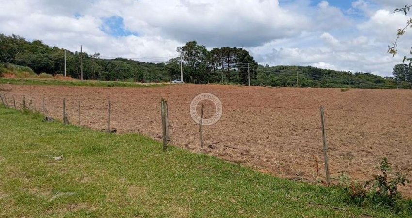 Area para investimento na Rota do vinho 100% aproveitavel