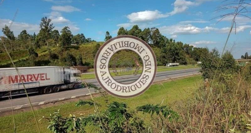 Terreno comercial à venda na Rodovia CASTELO BRANCO KM 68, 68, Dona Catarina, Mairinque