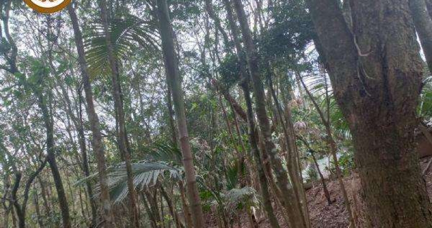 Casa com 3 quartos à venda na ALAMEDA TIMBAUBAS, Planalto Verde, São Roque