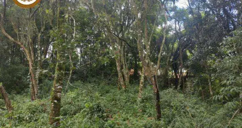 Casa à venda no Campininha (Canguera), São Roque 