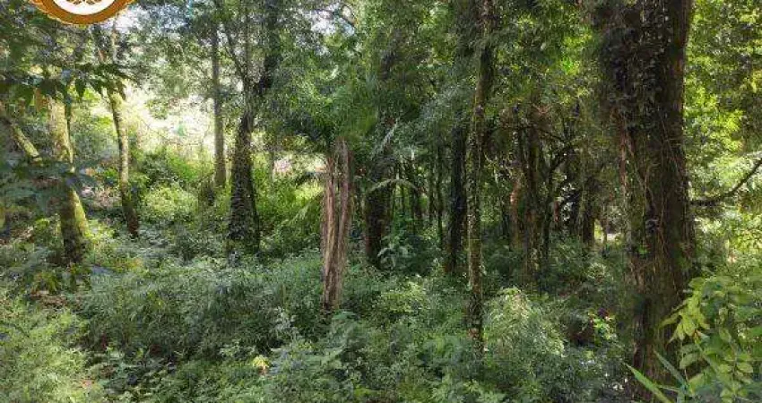 Casa à venda na Estrada dos Mendes, Taboão, São Roque