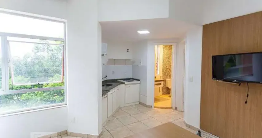 Apartamento para Aluguel - Santa Efigênia, 1 Quarto,  47 m² - Belo Horizonte