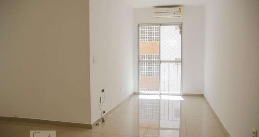 Apartamento para Aluguel - Meier, 2 Quartos,  66 m² - Rio de Janeiro